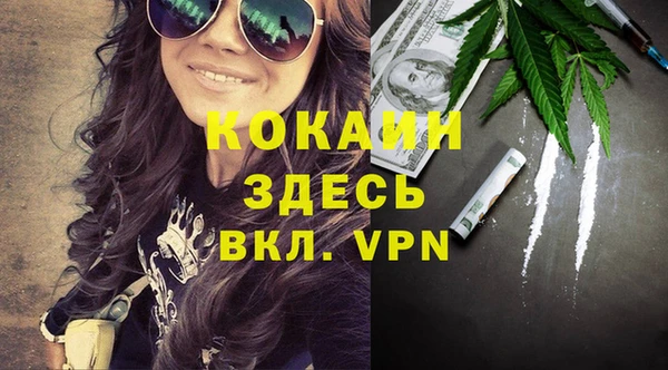 амф Арсеньев