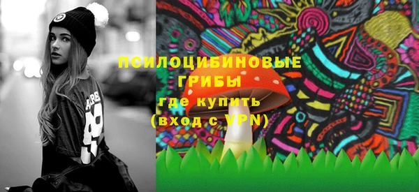 амф Арсеньев