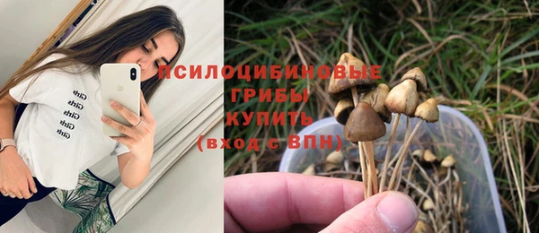 кокс Армянск